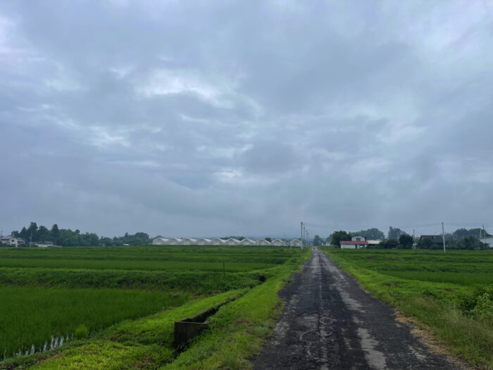 7月9日(日)　AM 9:10　前橋市苗ケ島町