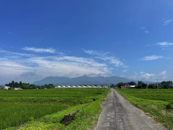 7月10日(月)　AM 9:07　前橋市苗ケ島町