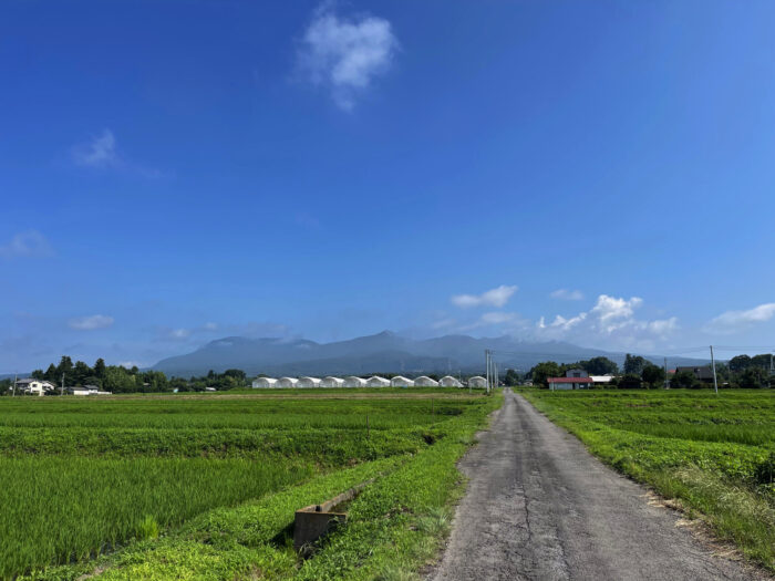 7月11日(火)　AM 8:32　前橋市苗ケ島町