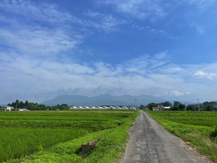 7月12日(水)　AM 8:36　前橋市苗ケ島町