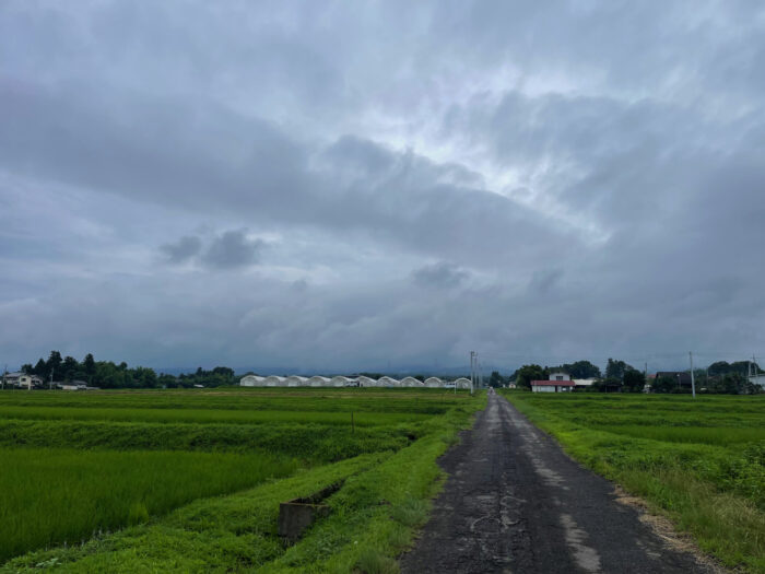 7月14日(金)　AM 8:50　前橋市苗ケ島町