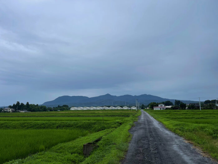 7月15日(土)　AM 6:56　前橋市苗ケ島町