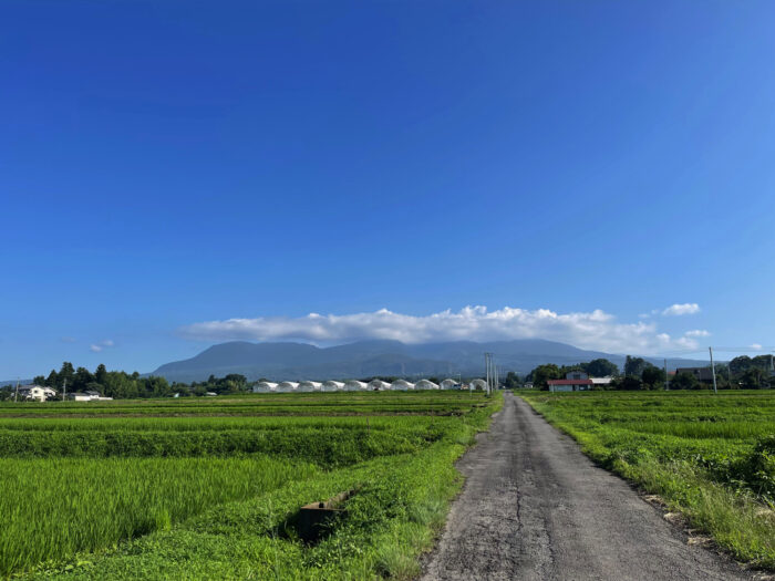 7月17日(月)　AM 7:31　前橋市苗ケ島町