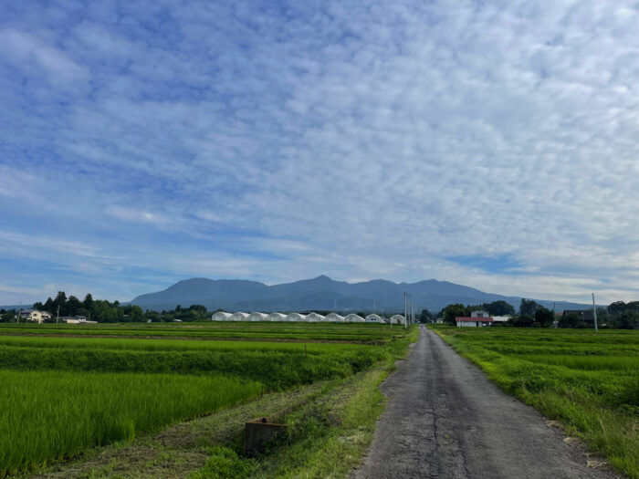 7月18日(火)　AM 6:58　前橋市苗ケ島町