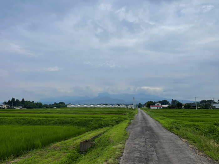 7月19日(水)　AM 9:21　前橋市苗ケ島町