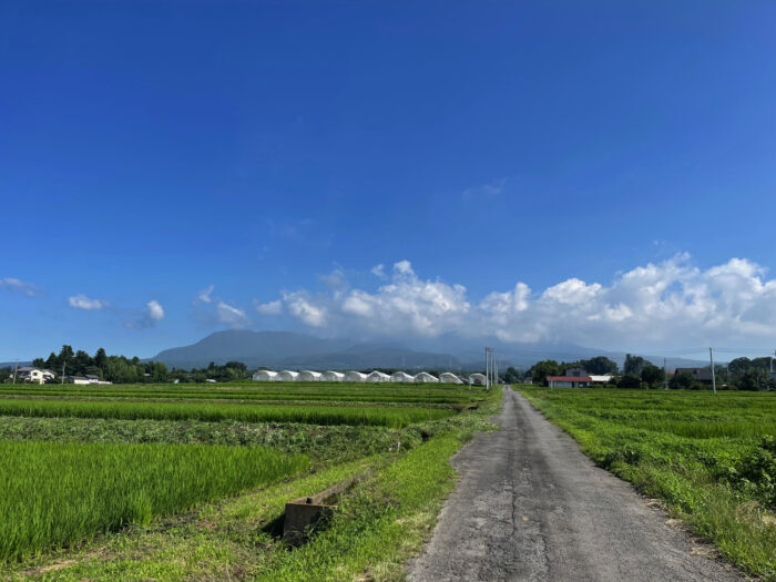 7月20日(木)　AM 8:30　前橋市苗ケ島町