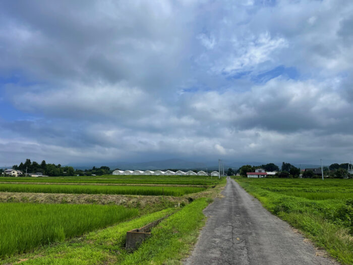 7月22日(土)　AM 9:24　前橋市苗ケ島町