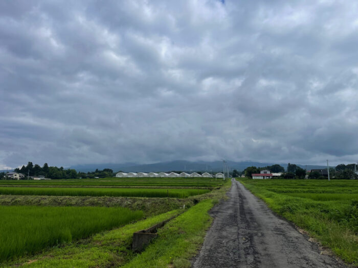 7月21日(金)　AM 8:15　前橋市苗ケ島町