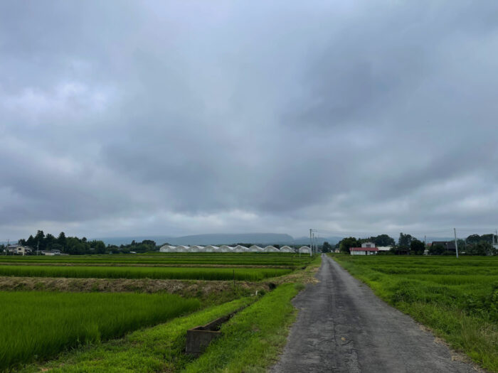 7月23日(日)　AM 7:03　前橋市苗ケ島町