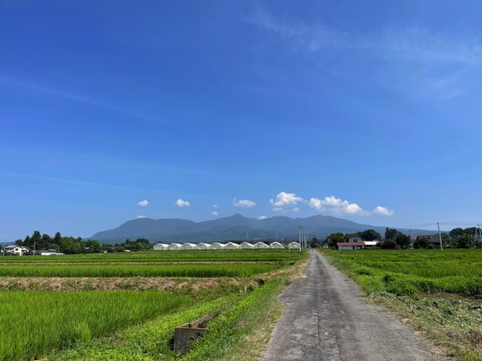 7月24日(月)　AM 9:32　前橋市苗ケ島町