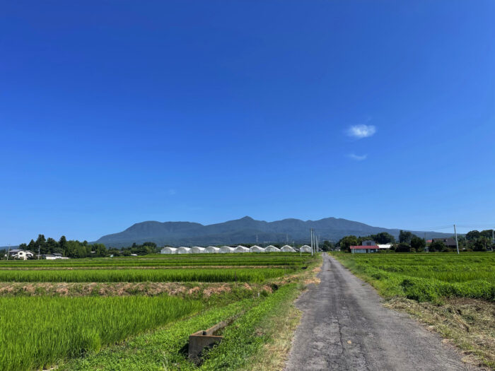 7月25日(火)　AM 8:57　前橋市苗ケ島町
