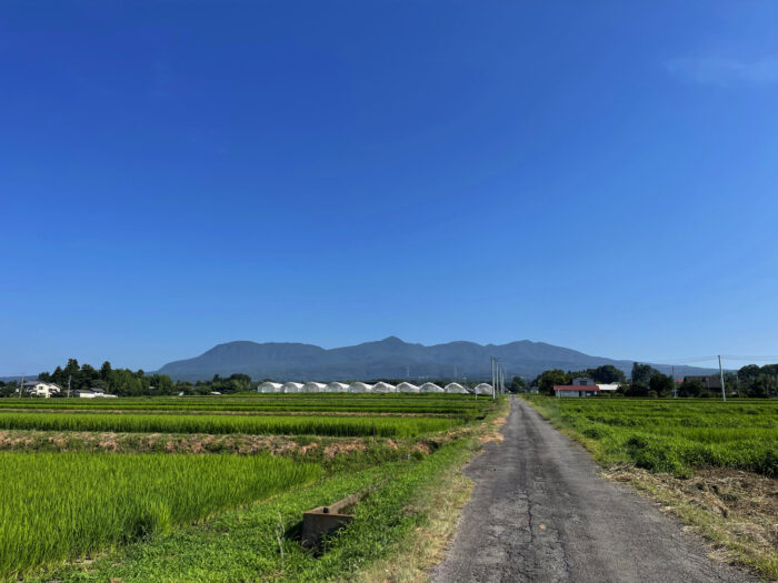 7月26日(水) AM 8:18 前橋市苗ケ島町