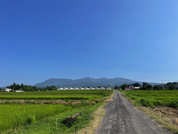 7月27日(木)　AM 8:08　前橋市苗ケ島町