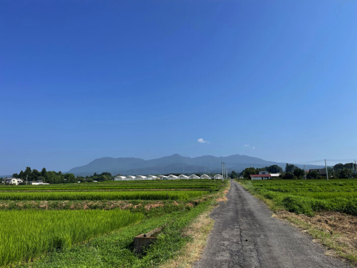 7月28日(金)　AM 8:23　前橋市苗ケ島町