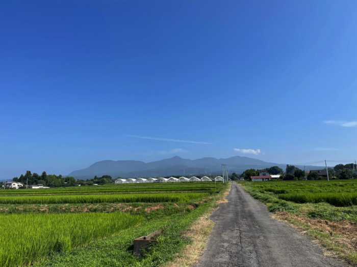 7月29日(土) AM 8:35 前橋市苗ケ島町