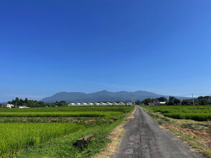 7月30日(日)　AM 8:16　前橋市苗ケ島町