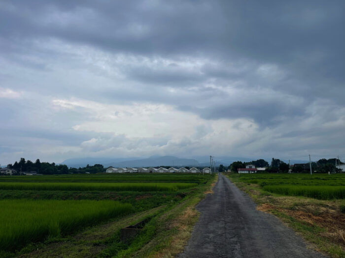 8月1日(火) AM 8:58 前橋市苗ケ島町