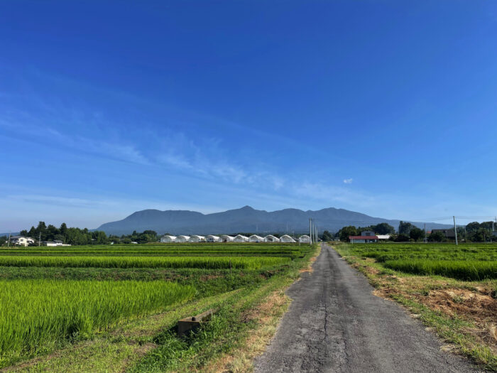 8月2日(水)　AM 8:00　前橋市苗ケ島町