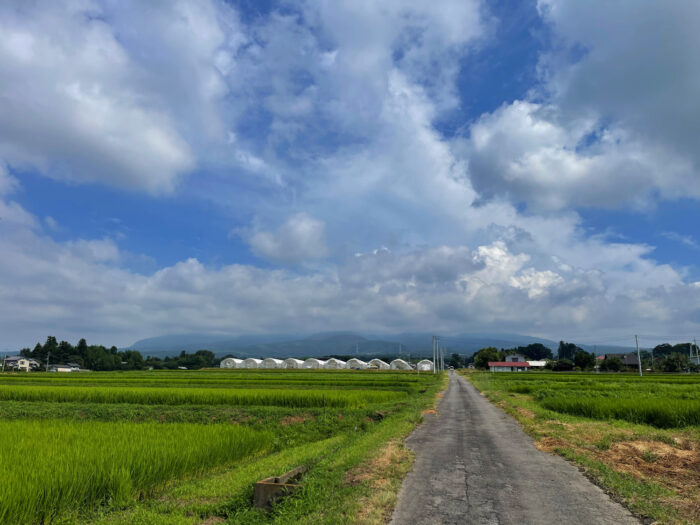 8月3日(木)　AM 9:24　前橋市苗ケ島町