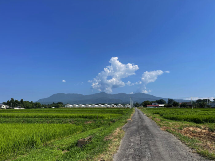 8月4日(金)　AM 9:02　前橋市苗ケ島町