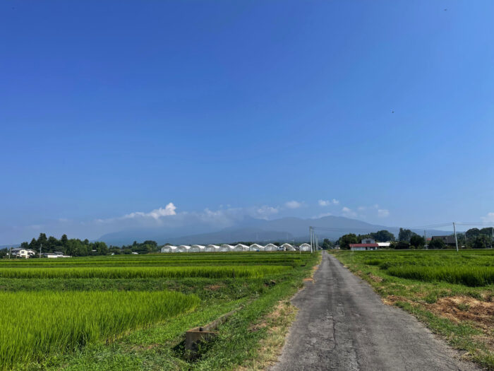 8月5日(土)　AM 8:56　前橋市苗ケ島町