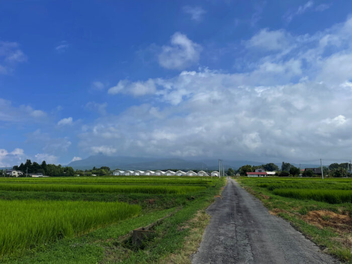 8月6日(日)　AM 9:07　前橋市苗ケ島町