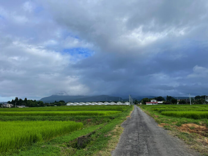 8月7日(月) AM 7:05 前橋市苗ケ島町