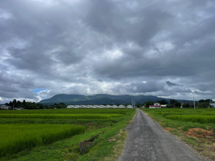 8月8日(火)　AM 8:43　前橋市苗ケ島町