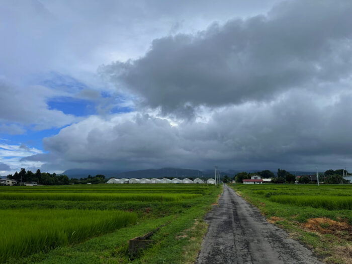 8月9日(水)　AM 8:19　前橋市苗ケ島町