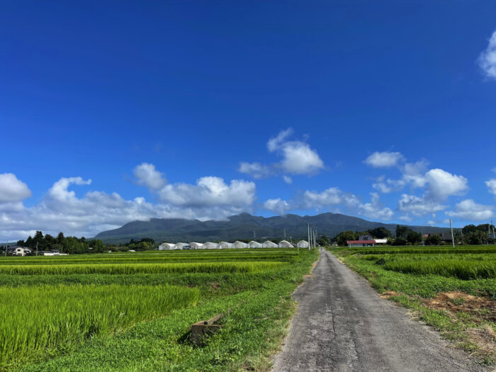 8月11日(金)　AM 8:35　前橋市苗ケ島町
