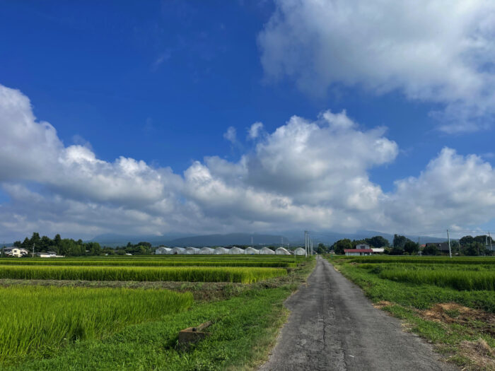 8月13日(日)　AM 8:13　前橋市苗ケ島町