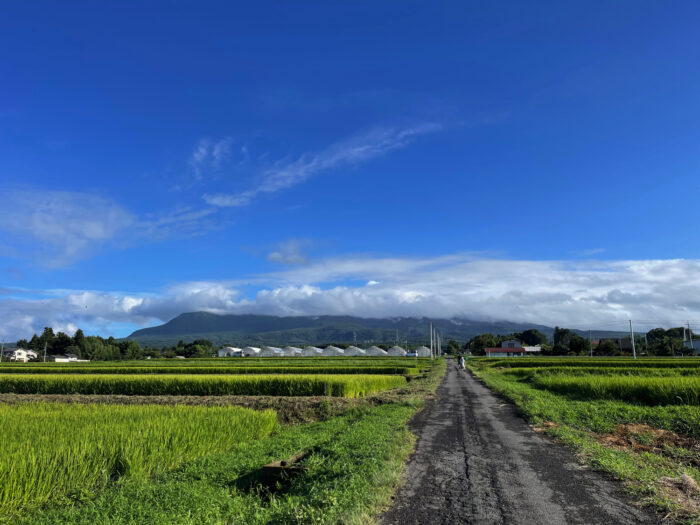 8月14日(月)　AM 7:08　前橋市苗ケ島町