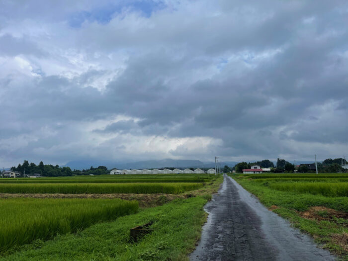 8月15日(火)　AM 10:09　前橋市苗ケ島町