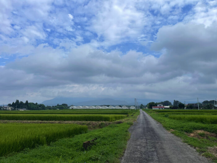 8月16日(水)　AM 8:17　前橋市苗ケ島町