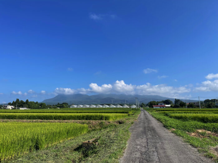8月17日(木)　AM 8:08　前橋市苗ケ島町