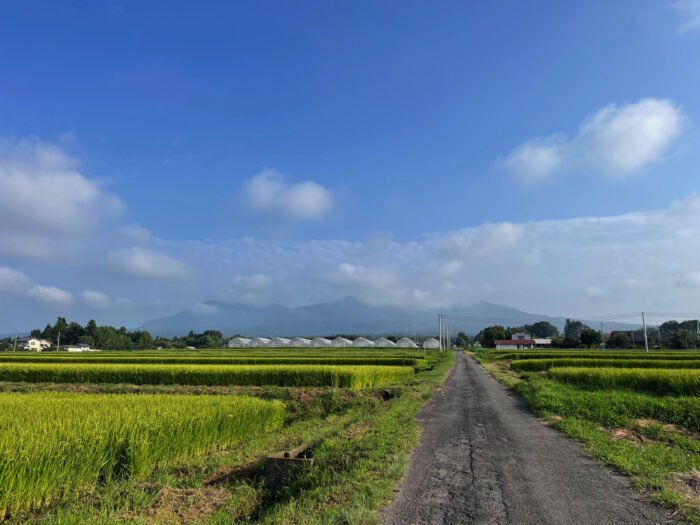 8月19日(土)　AM 7:06　前橋市苗ケ島町