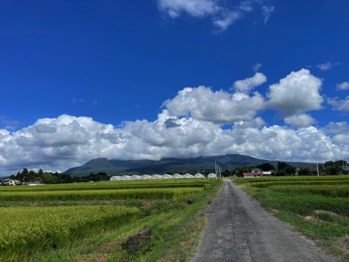 8月22日(火)　AM 9:35　前橋市苗ケ島町