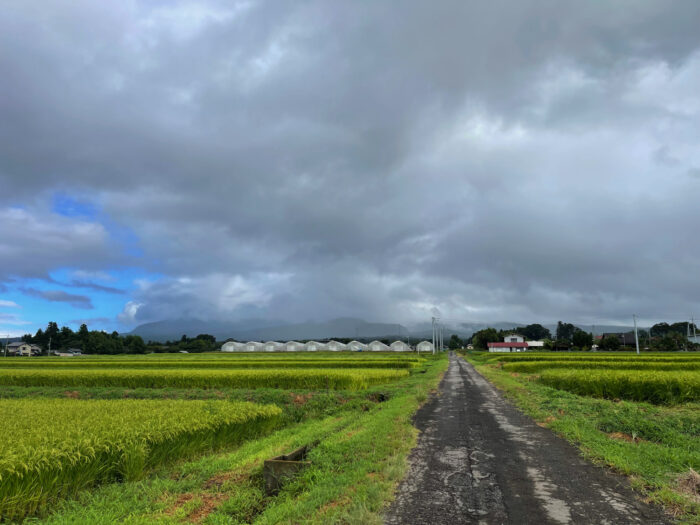 8月23日(水)　AM 8:17　前橋市苗ケ島町