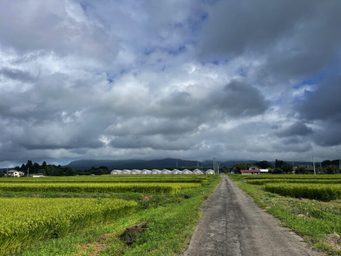 8月24日(木)　AM 9:01　前橋市苗ケ島町
