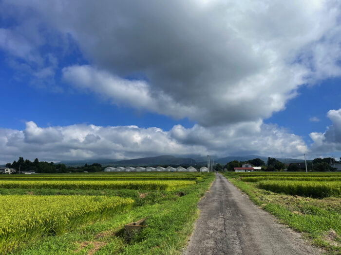 8月25日(金)　AM 8:22　前橋市苗ケ島町