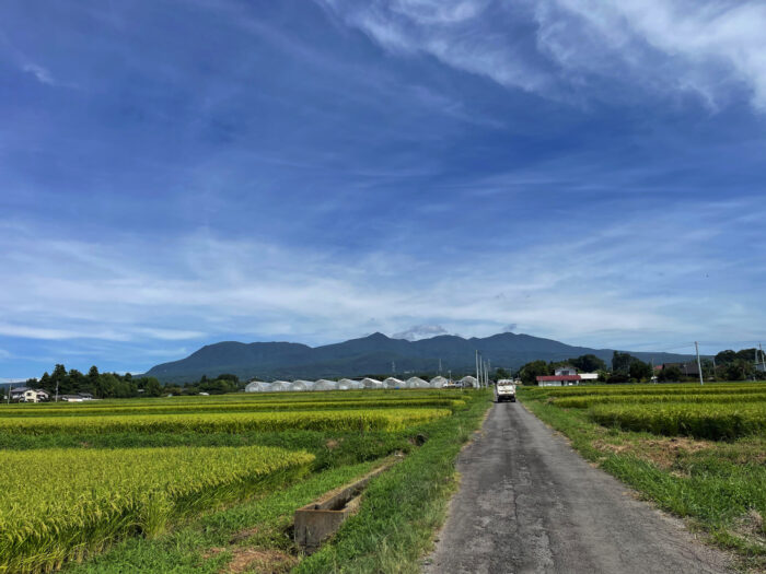 8月28日(月)　AM 9:26　前橋市苗ケ島町