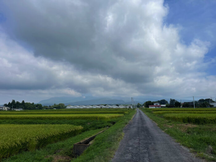 8月30日(水)　AM 8:54　前橋市苗ケ島町