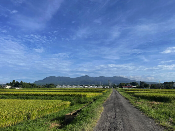 8月31日(木)　AM 7:00　前橋市苗ケ島町