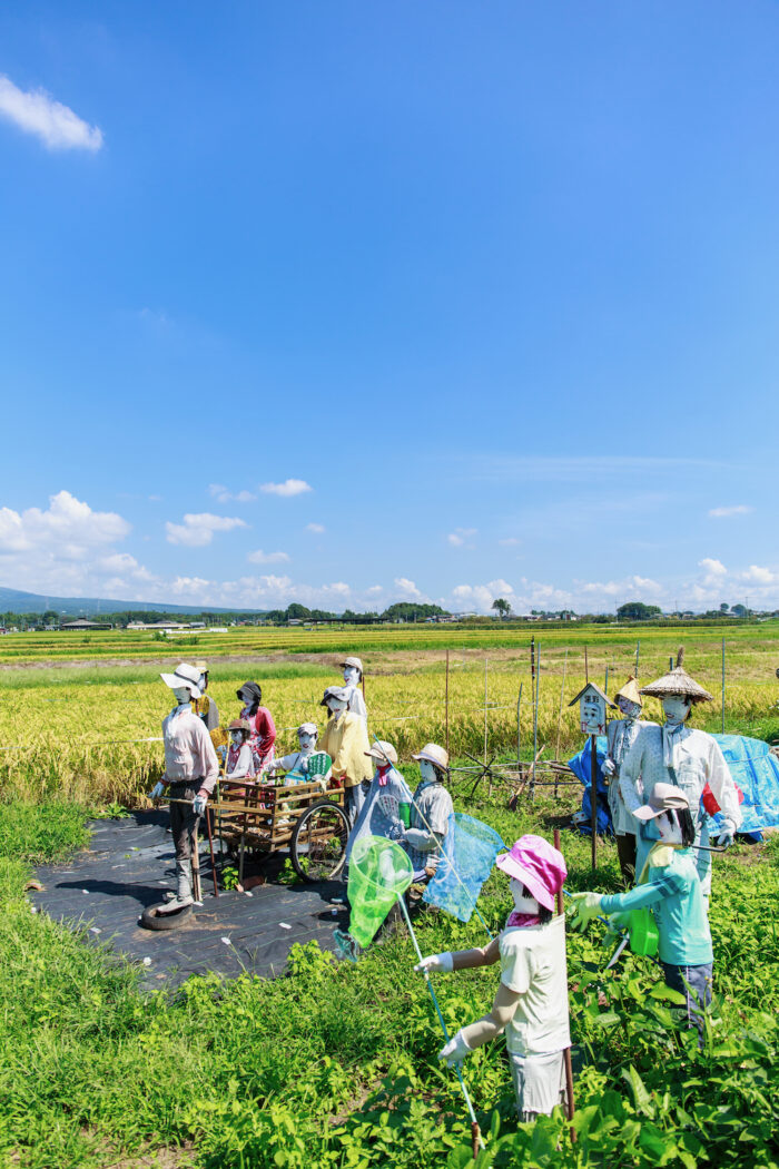 前橋市河原浜町の案山子