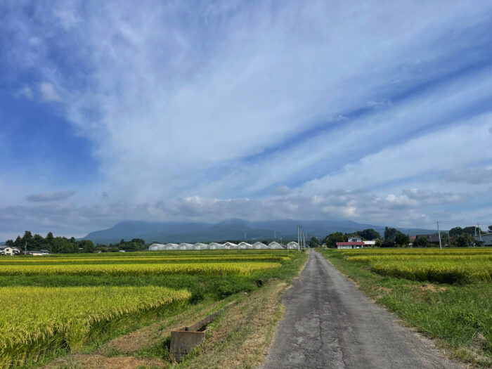 9月2日(土)　AM 9:17　前橋市苗ケ島町