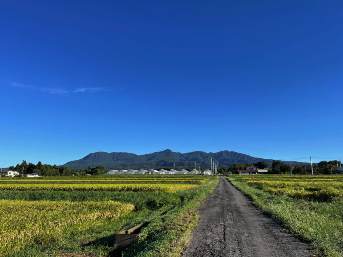 9月7日(木)　AM 7:00　前橋市苗ケ島町