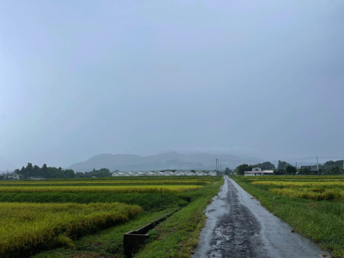 9月8日(金)　AM 9:19　前橋市苗ケ島町