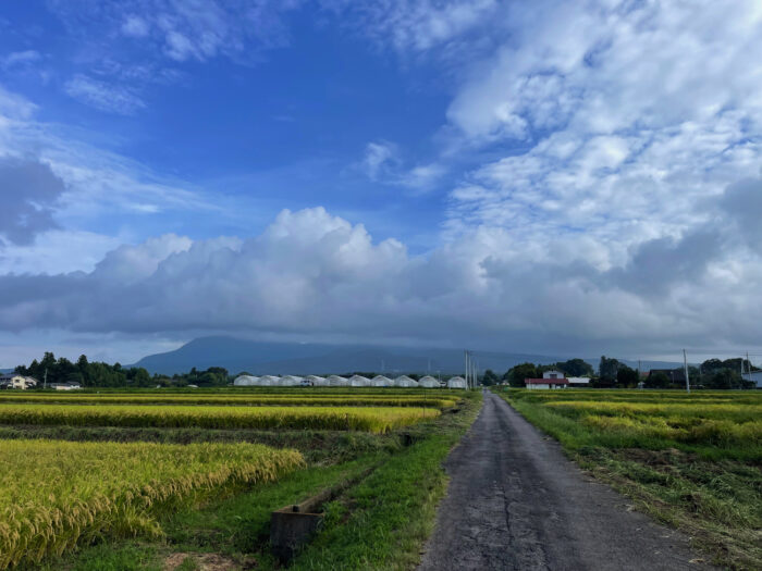 9月11日(月)　AM 7:05　前橋市苗ケ島町