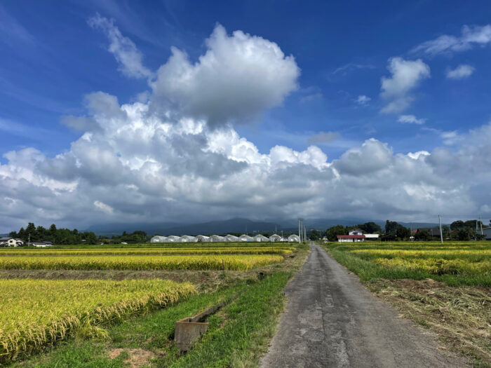 9月12日(火)　AM 9:34　前橋市苗ケ島町