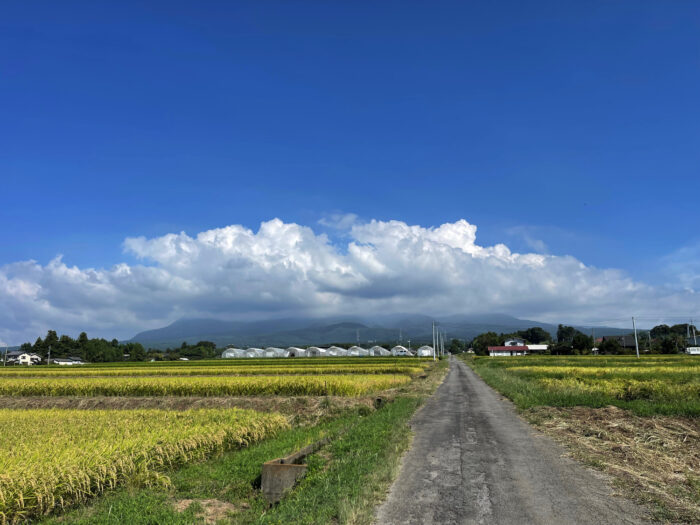 9月13日(水)　AM 9:19　前橋市苗ケ島町